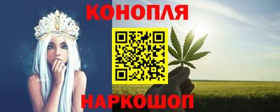 шишки Изобильный